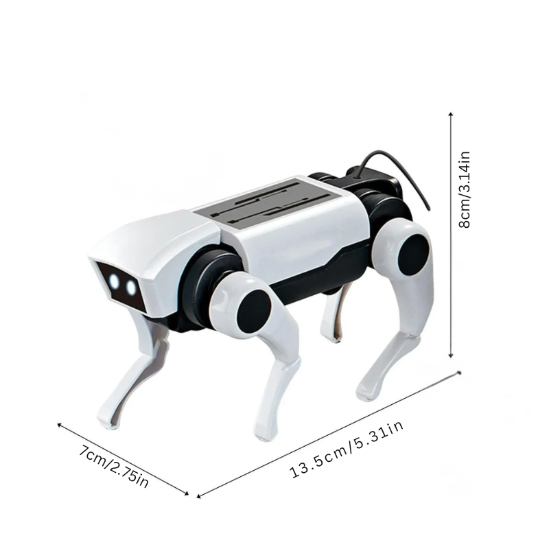 RoboCompagnon