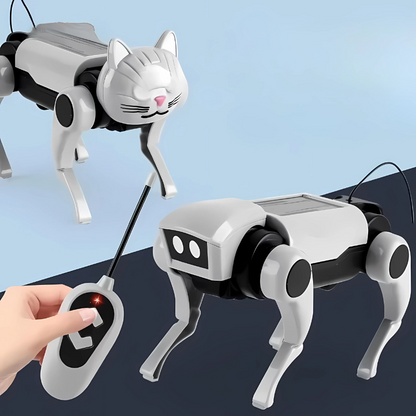 RoboCompagnon