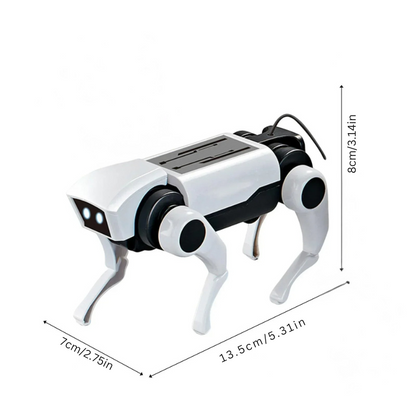 RoboCompagnon
